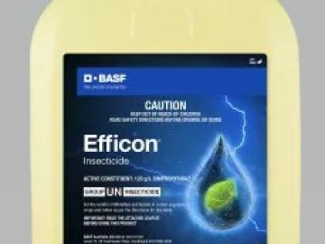 Efficon® Insecticide - Powered by Axalion® Active